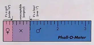 Phall-O-Meter: visuelle Darstellung der Längenunterscheidung von Klitoris und Penis bei Neugeborenen und des sogenannten inakzeptablen Bereichs. Das bedeutet, dass bei einer Länge von mehr als 3/8 und weniger als einem Inch Operationen an den Genitalien angeraten werden.