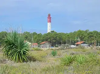 Der Leuchtturm von Cap Ferret