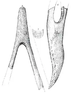 Der erste von Ameghino beschriebene Fossilfund von Phorusrhacos