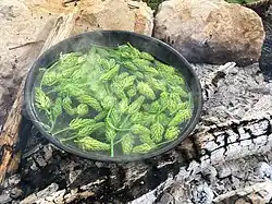 Ährige Teufelskralle (junge Blätter, Blütensprossen und Wurzeln)