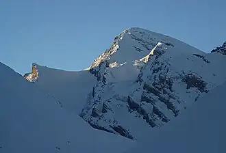 Rinderhorn in der Morgensonne
