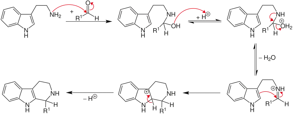 Mechanismus der Pictet-Spengler Reaktion