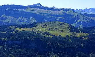 Piesenkopf vom Riedberger Horn