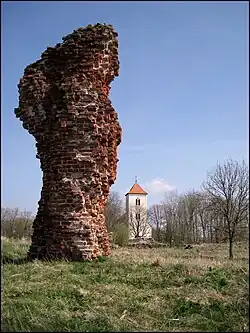 Mauerreste der Vorburg (2008)