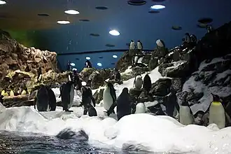 Loro Parque