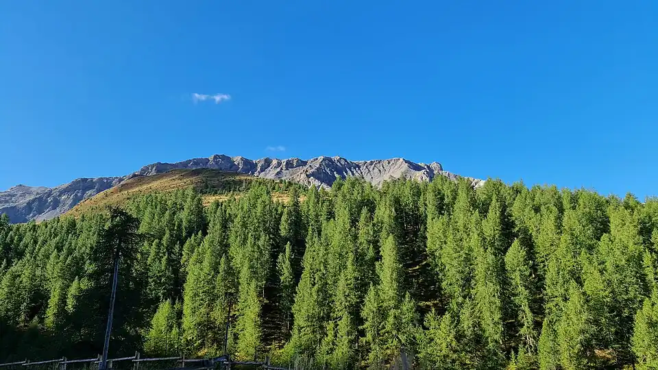 Blick von der Alp d’Arpiglia hoch zum Piz Mezzaun