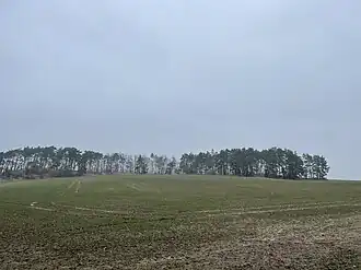 Klinkeberg bei Kranepuhl