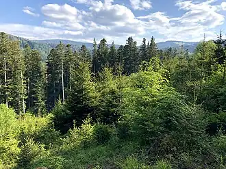 Blick vom Platten zum Rechelkopf