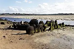 Allée couverte von Kernic