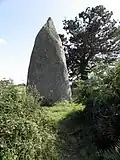 Menhir Men-Marz