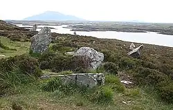 Menhire im Steinkreis