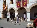 Podenco-Schau jeweils am 1. Mai in Santa Eulalia