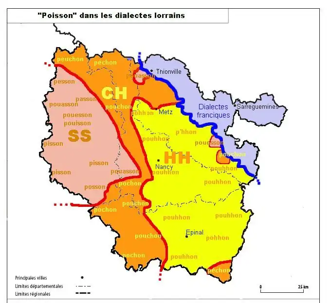 Die verschiedenen Dialekte der Lorraine unter besonderer Berücksichtigung des HH