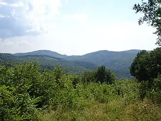 Poiana-Ruscă-Gebirge