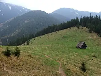 Blick von der Alm Polana Jamy