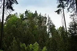 Ansicht des Felsens aus dem Polenztal