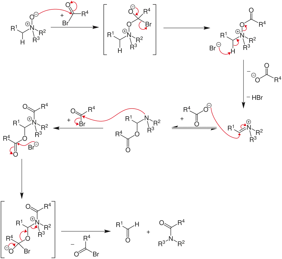 Mechanismus der Polonovski-Reaktion