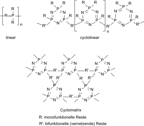 Molekülarchitekturen von Polyphosphazenen
