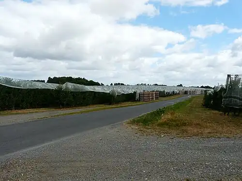 Apfelplantagen bei Les Bichets entlang der D 5 E3