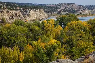 Blick auf den Fluss im Pompeys Pillar National Monument