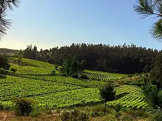 Landschaft um Portezuelo