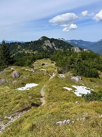 Predigtstuhl, Gipfelbereich; dahinter der Schildenstein