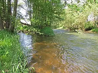 Mündung der Premich (von links) in die Saale