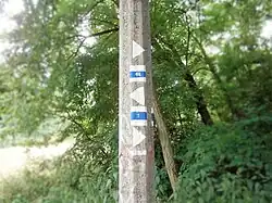 Markierung der sich kreuzenden grünen Hauptwege