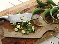 Teufelskralle, Teufelsklaue (Ibicella lutea, Martynia annua, Proboscidea louisianica, Proboscidea parviflora u.&nbsp;a.)