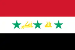 2:3 Kurzlebiger Flaggenvorschlag im Januar 2008