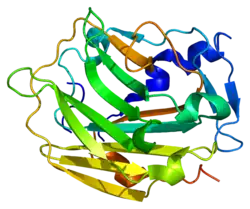 Kollagen Typ IX, alpha 1