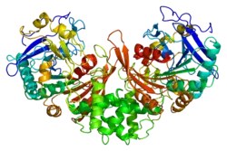 Lysosomales Schutzprotein