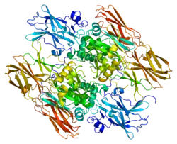 Firbinstabilisierender Faktor, Untereinheit A