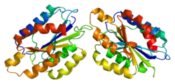 Integrin alpha-1