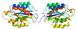 Integrin alpha-2