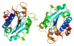 Integrin alpha-M