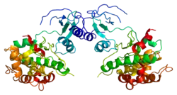 Serin/Threonin-Proteinkinase PAK 4