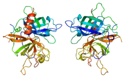 Gewebespezifischer Plasminogenaktivator