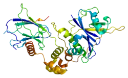 Von-Hippel-Lindau-Tumorsuppressor