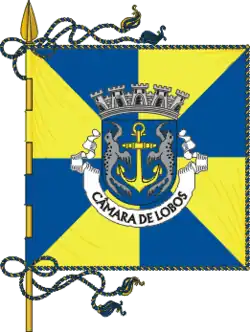 Flagge des Concelhos Câmara de Lobos