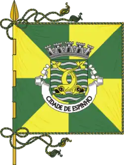 Flagge von Espinho