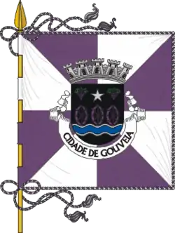 Flagge des Concelhos Gouveia