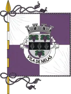 Flagge des Concelhos Nelas