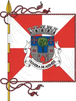 Flagge des Concelhos Oliveira de Azeméis