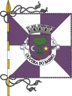 Flagge des Concelhos Oliveira do Bairro