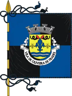 Flagge des Concelhos Oliveira de Frades