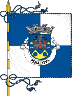Flagge des Concelhos Penacova