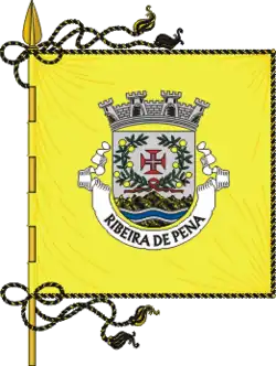 Flagge von Ribeira de Pena
