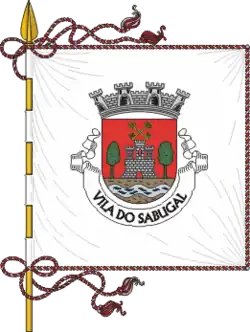 Flagge des Concelhos Sabugal