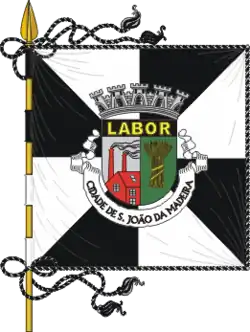 Flagge von São João da Madeira